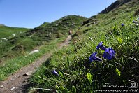 029 Sentiero dei fiori